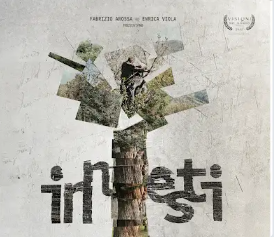 INNESTI