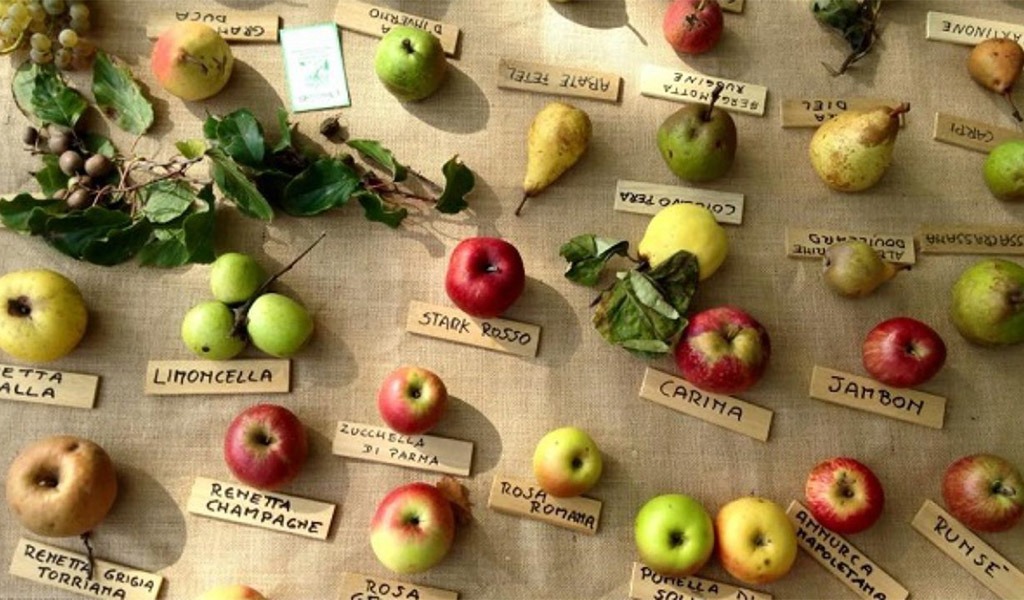 I FRUTTI DIMENTICATI