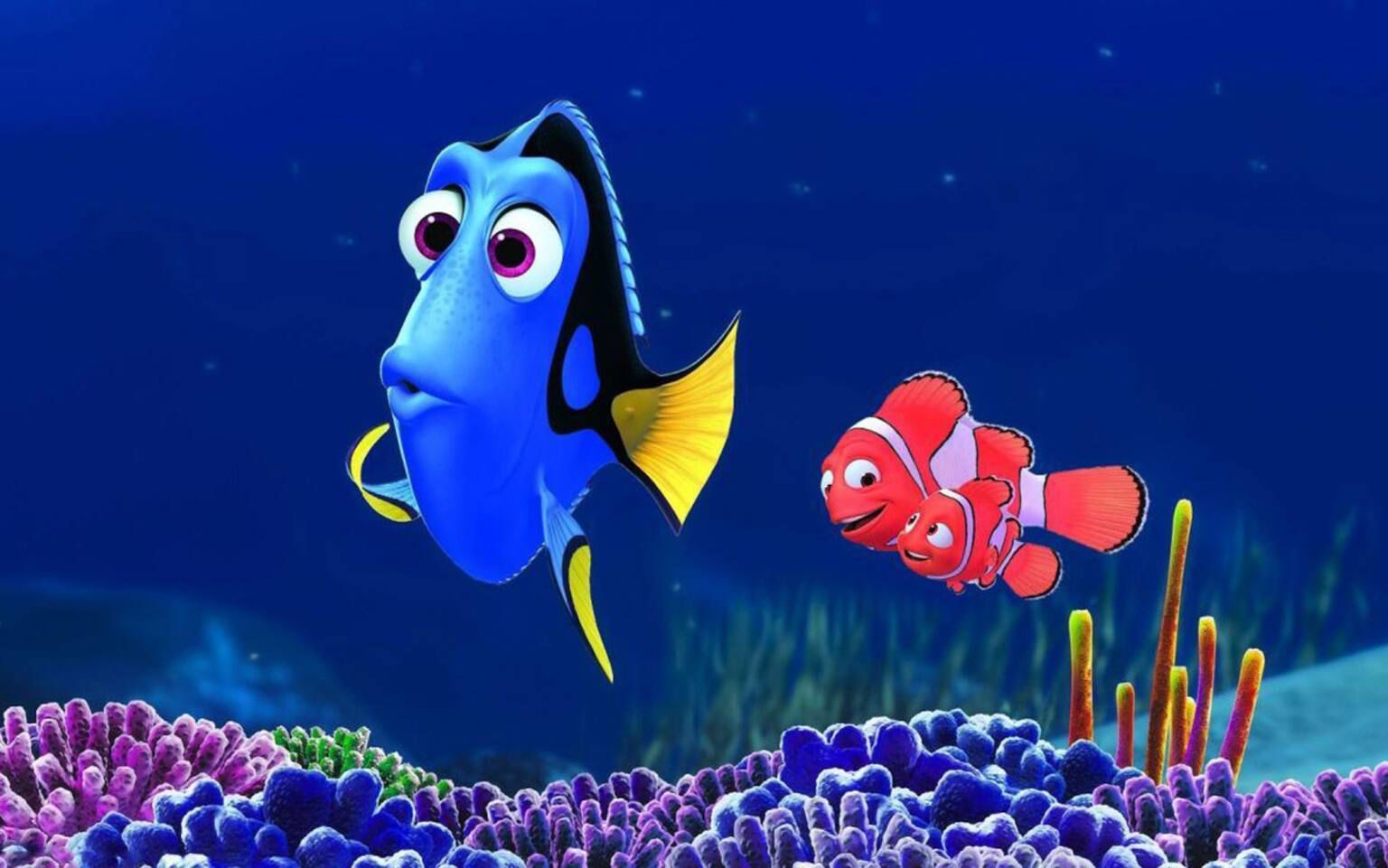 ALLA RICERCA DI DORY - FILM