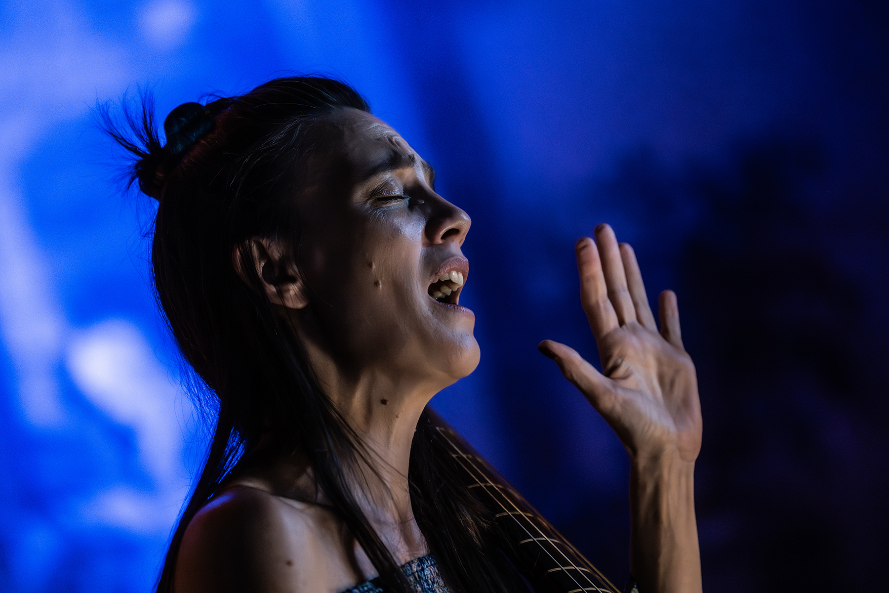 FADO ANTIGO <br> Elizondo, Francione, Rilievi